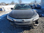 Honda Accord 2017