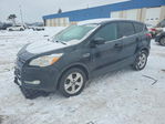 Ford Escape 2014