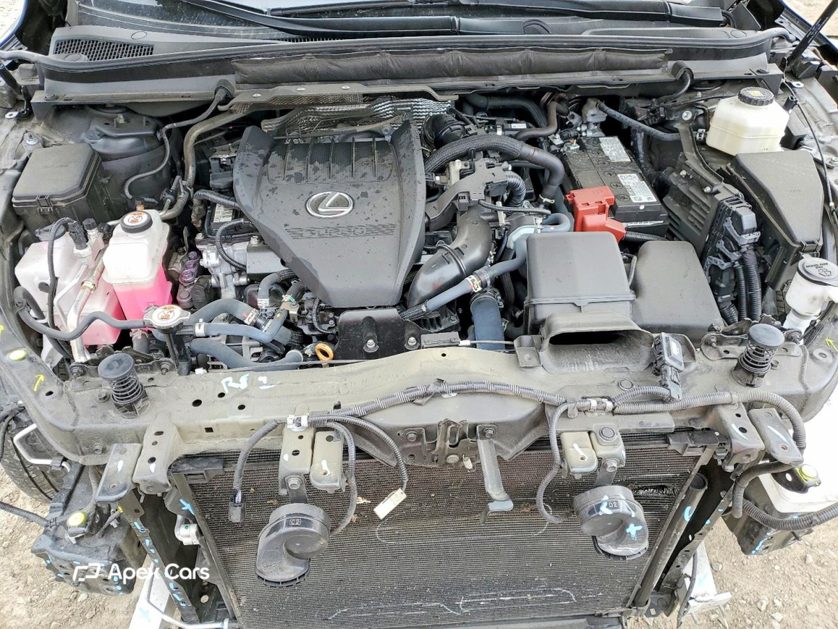 Lexus RX 2024