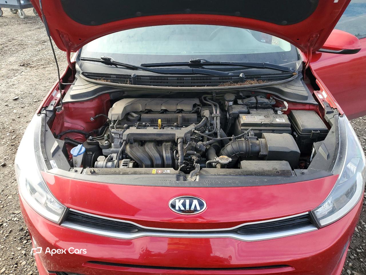 Kia Rio 2021