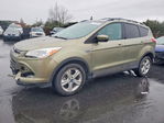 Ford Escape 2013