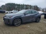 Lexus UX 2019