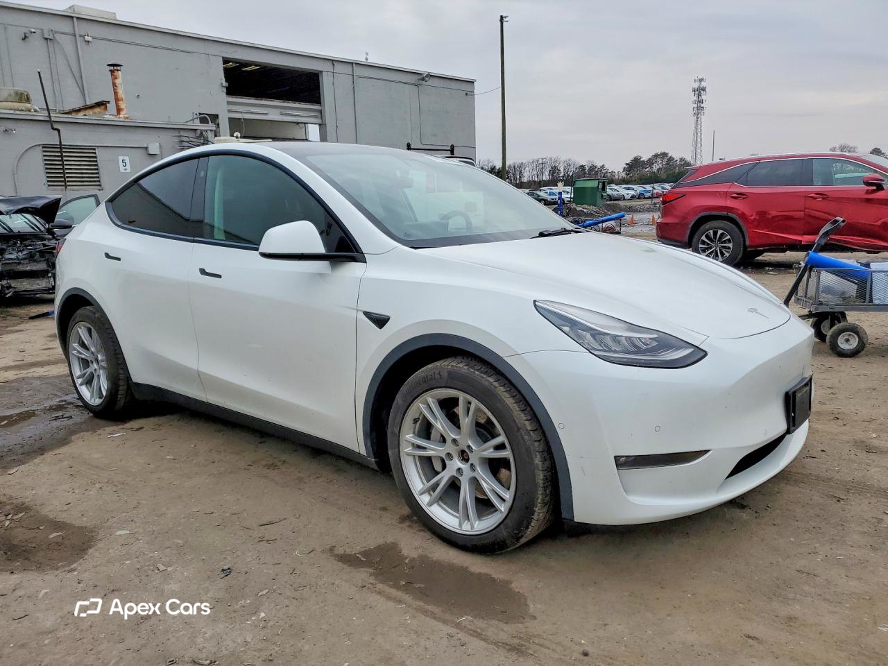 Tesla Model Y 2021