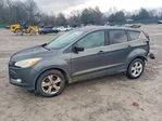 Ford Escape 2015