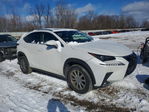 Lexus NX 2019
