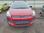 Ford Escape 2016