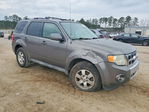Ford Escape 2011