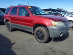Ford Escape 2005