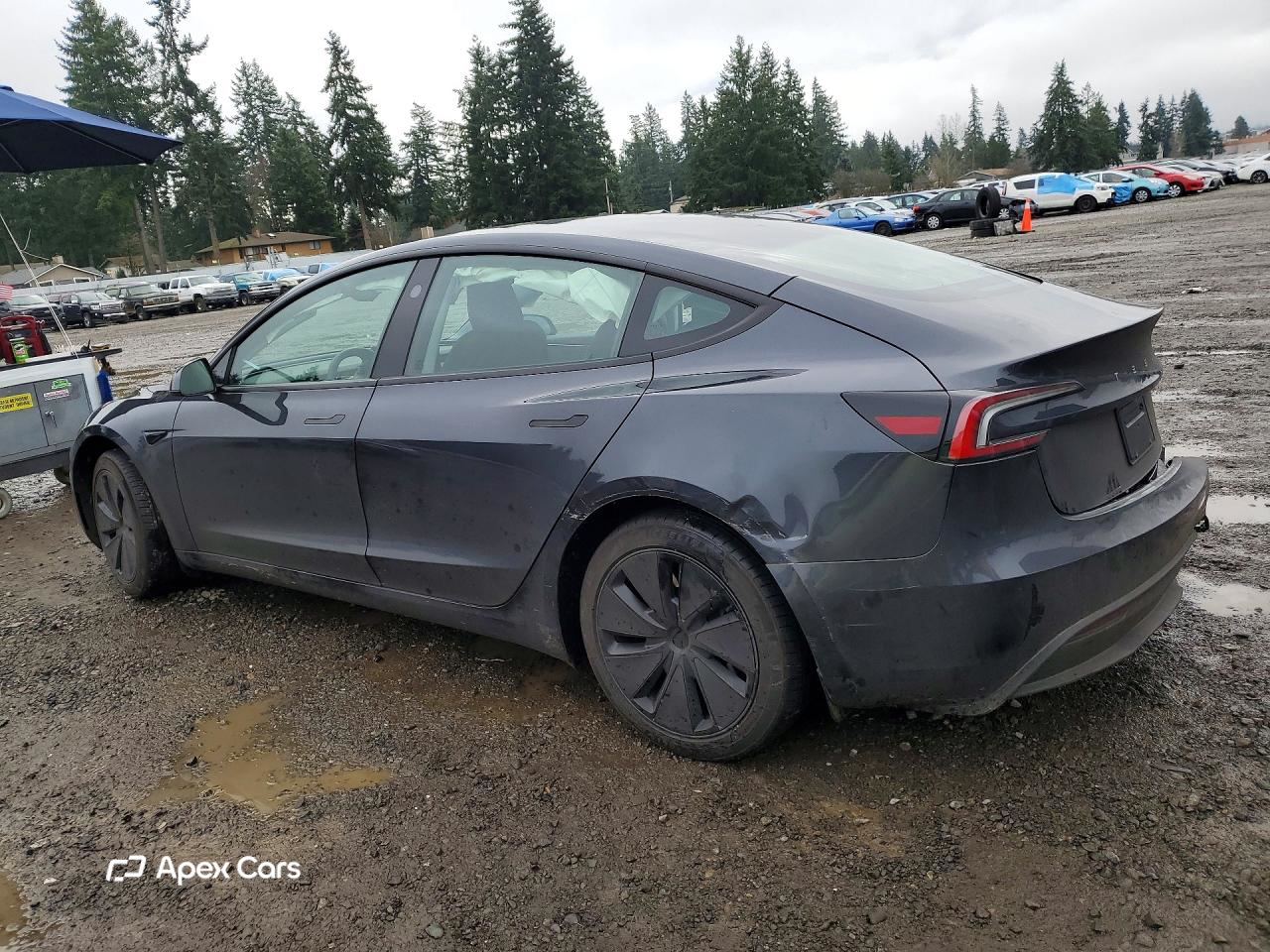 Tesla Model 3 2024