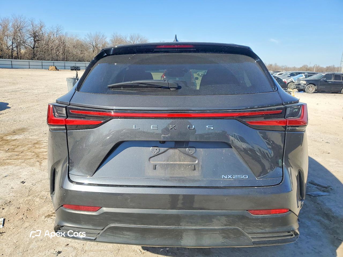 Lexus NX 2025