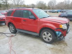 Ford Escape 2012