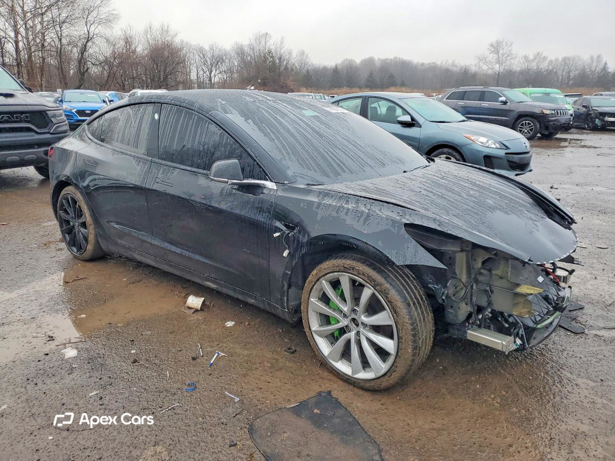 Tesla Model 3 2019