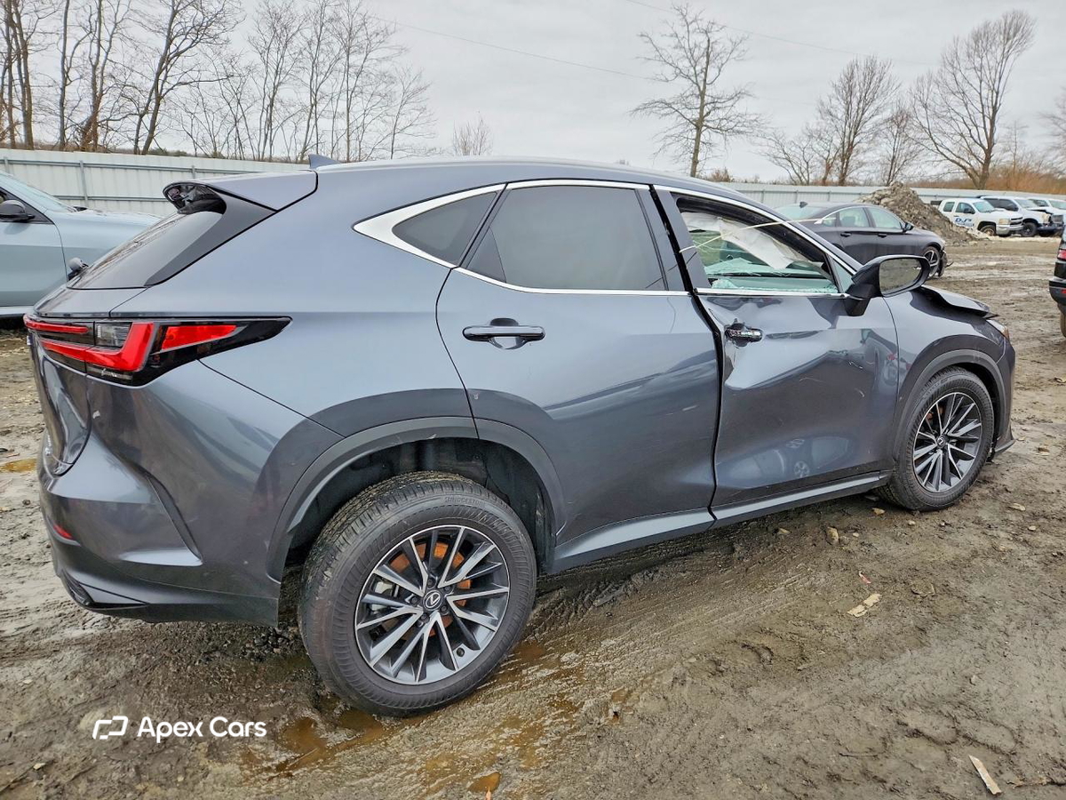 Lexus NX 2025