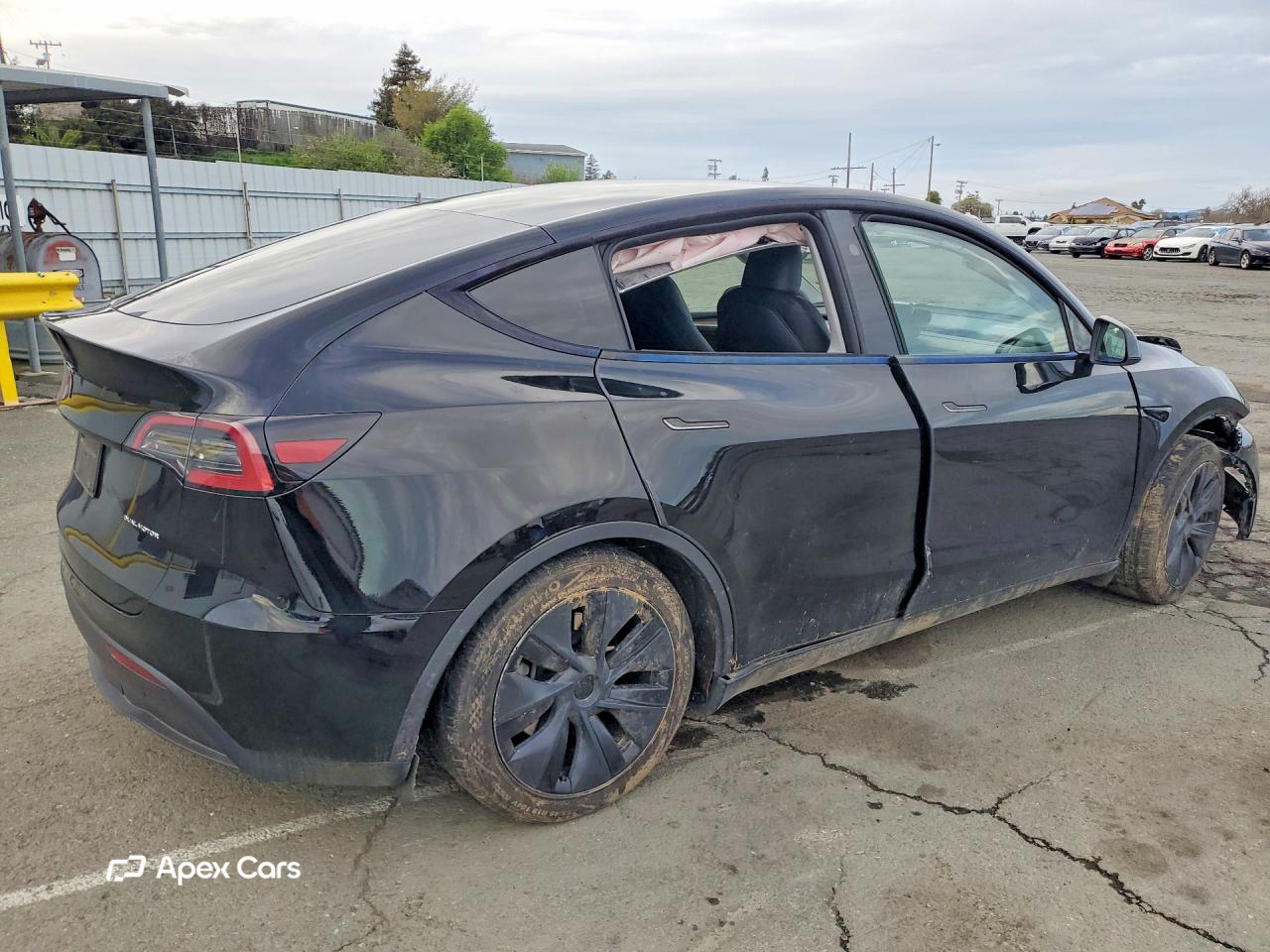 Tesla Model Y 2024