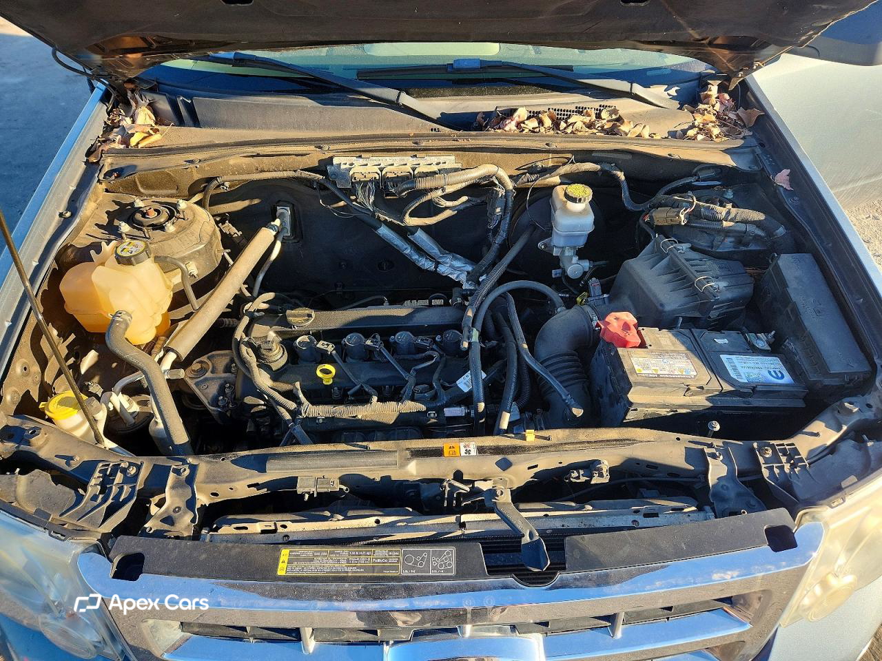 Ford Escape 2010