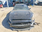 Ford Mustang 2019