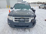 Ford Escape 2012