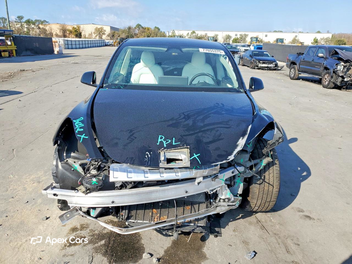 Tesla Model Y 2025