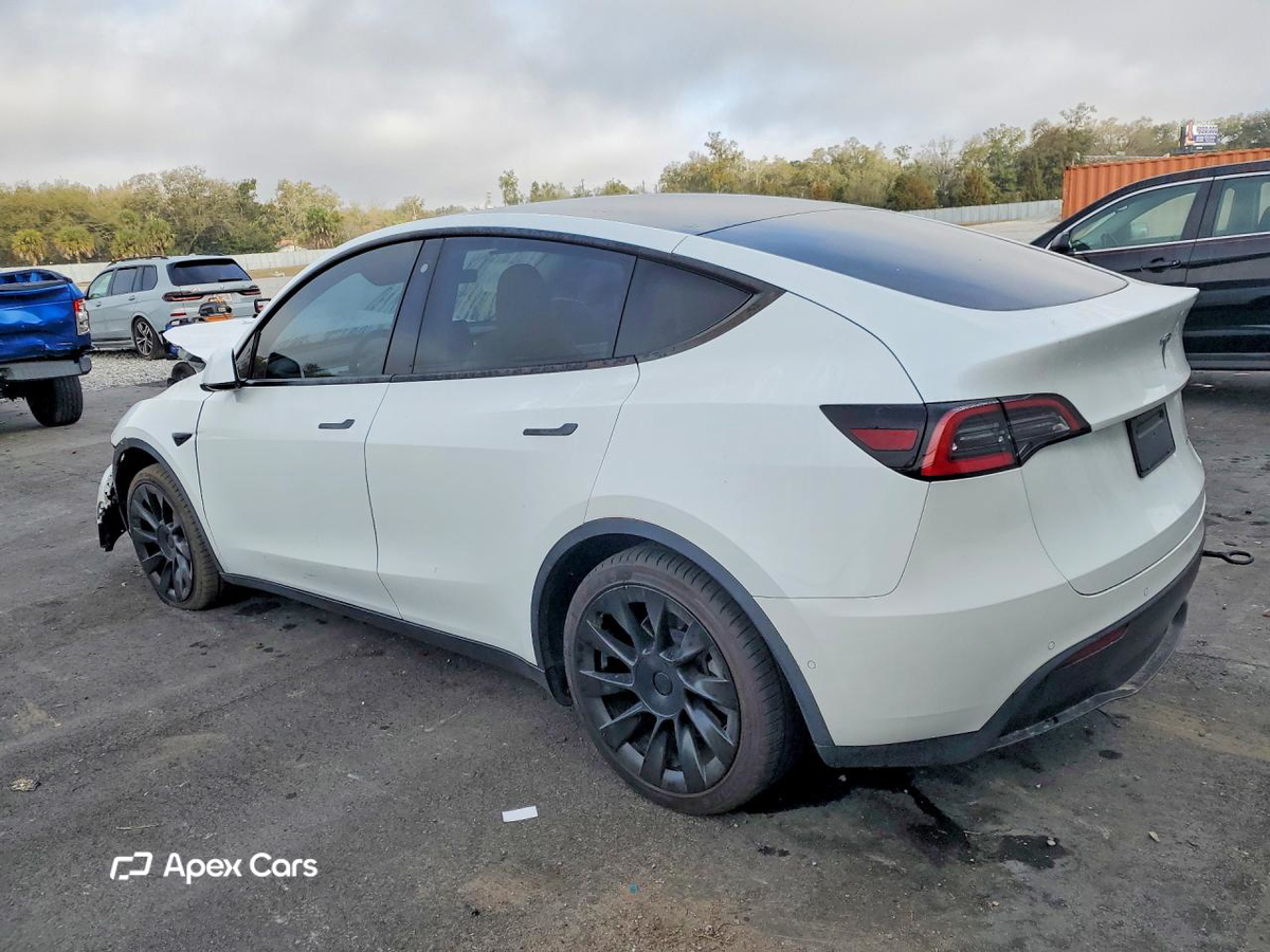Tesla Model Y 2020