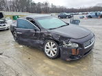 Nissan Maxima 2013
