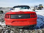 Ford Mustang 2021