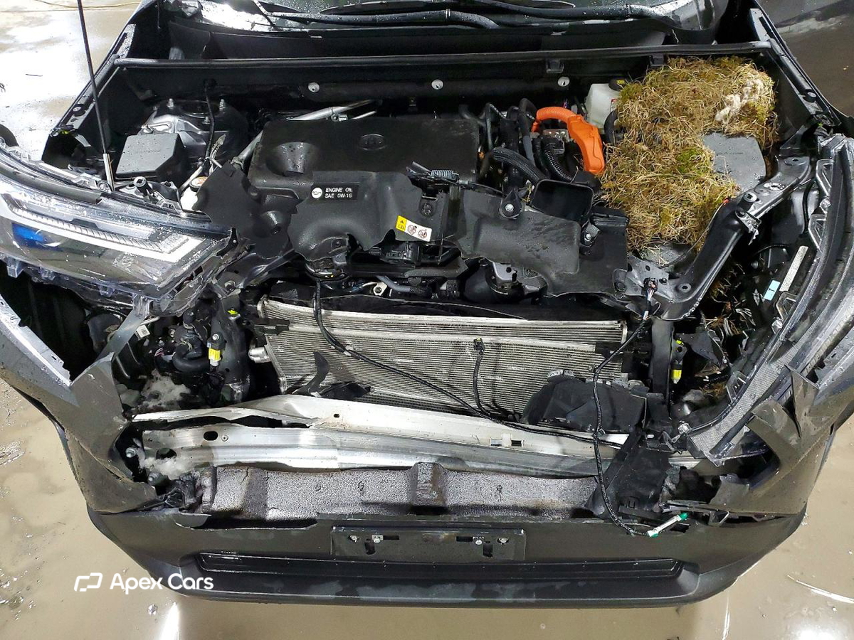 Toyota RAV 4 2025