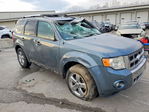 Ford Escape 2012