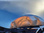 Lexus NX 2021