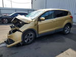 Ford Escape 2015