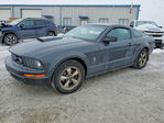 Ford Mustang 2007