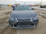 Lexus ES 2025