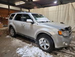 Ford Escape 2011