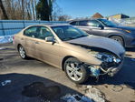 Lexus ES 2006
