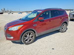 Ford Escape 2014