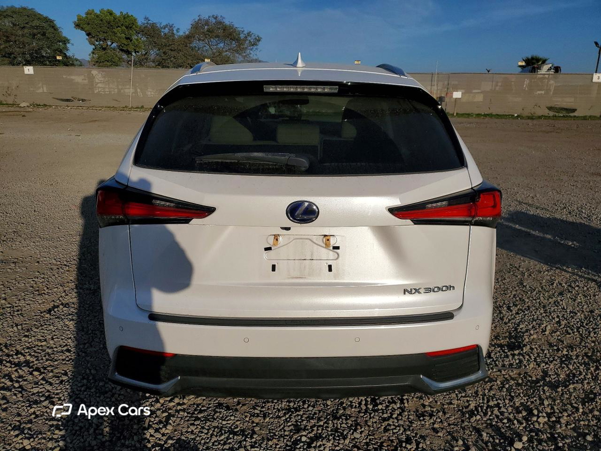 Lexus NX 2019