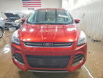 Ford Escape 2016