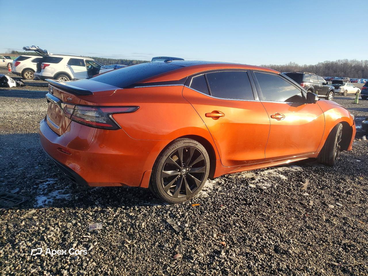 Nissan Maxima 2019