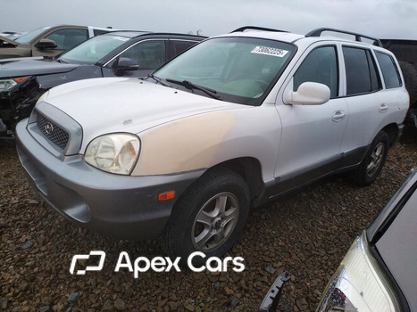 Hyundai Santa Fe 2003 - Image 1 of 13