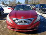 Hyundai Sonata 2011