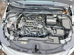 Toyota Corolla 2024