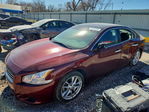 Nissan Maxima 2010