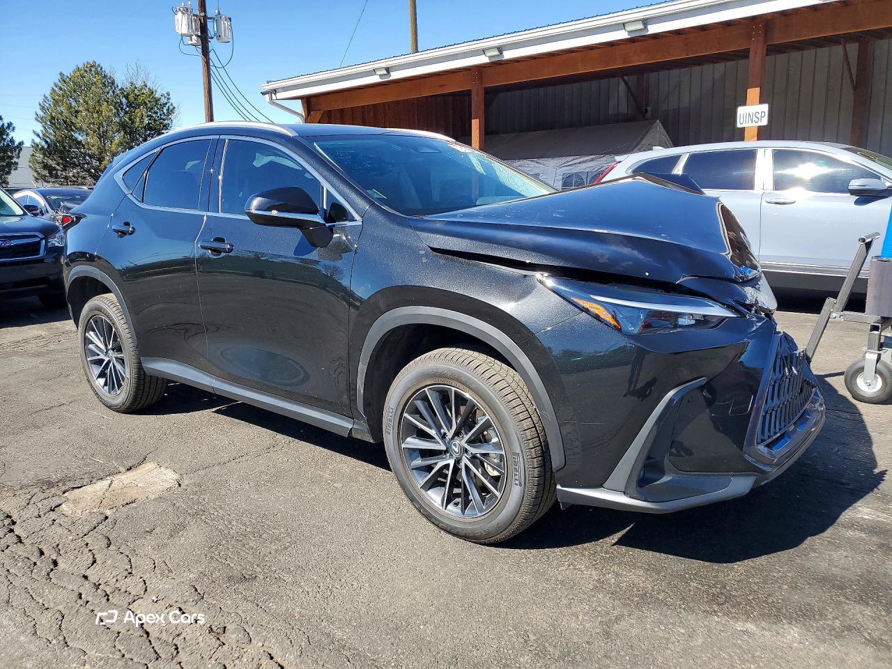 Lexus NX 2024