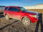 Ford Escape 2012