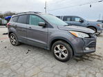 Ford Escape 2013