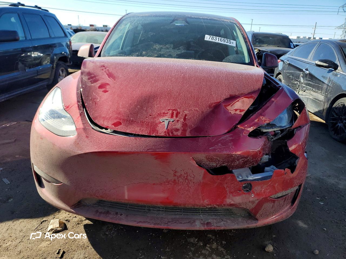 Tesla Model Y 2024