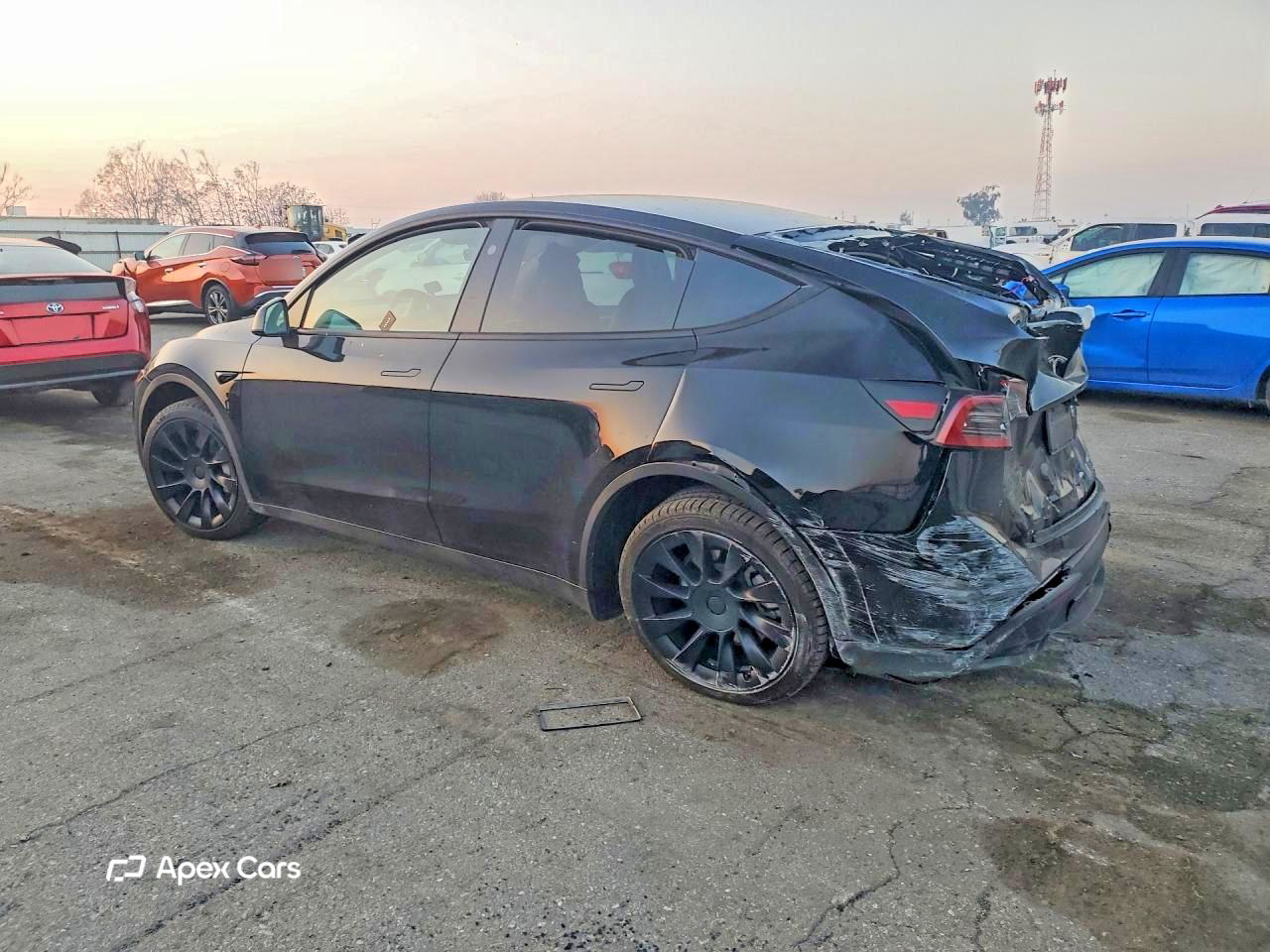 Tesla Model Y 2024