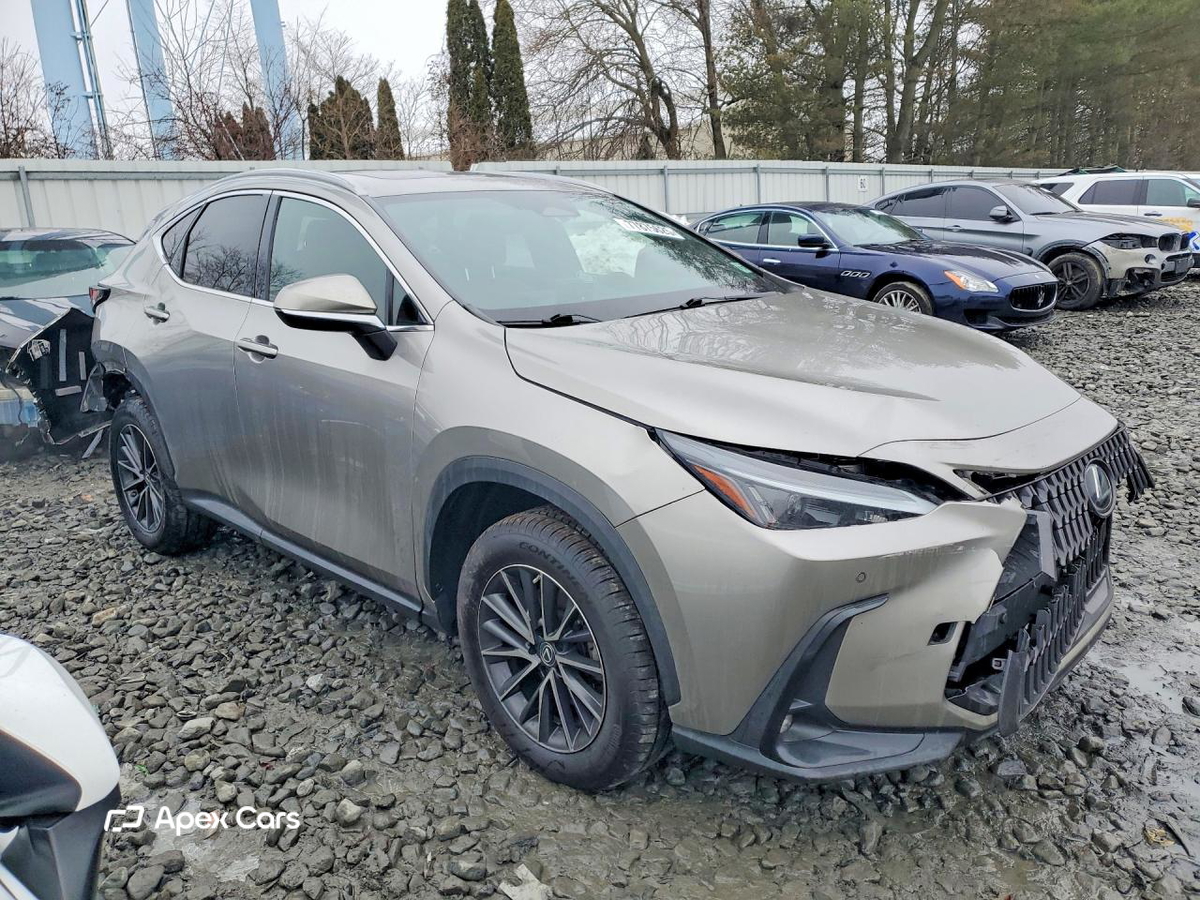 Lexus NX 2022