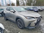 Lexus NX 2022