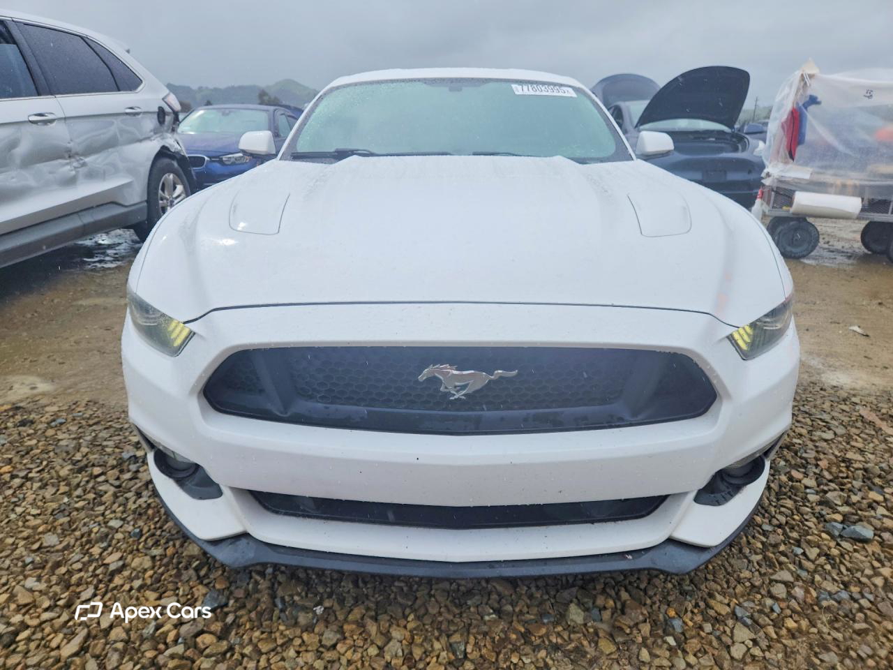 Ford Mustang 2015
