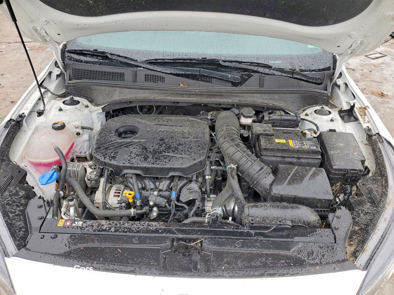 Kia Forte 2023